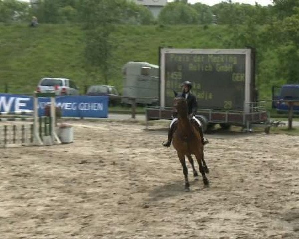 jumper Atlantika (Oldenburg, 1997, from Granulit)