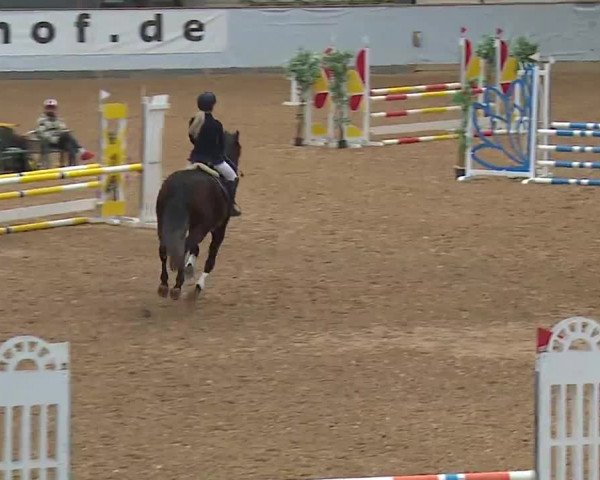 Reitturnier Kreuth/Opf. 2022