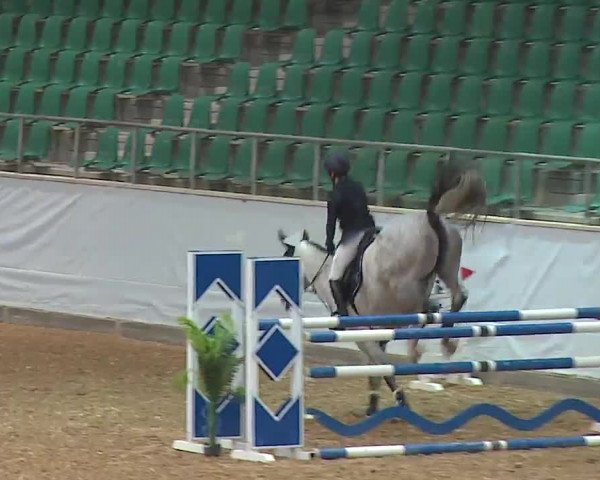 Reitturnier Kreuth/Opf. 2022