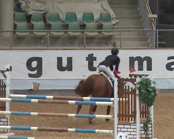 Reitturnier Kreuth/Opf. 2022