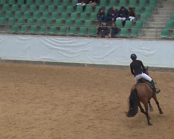 Reitturnier Kreuth/Opf. 2022