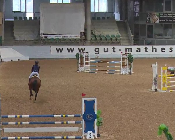 Reitturnier Kreuth/Opf. 2022