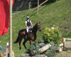 jumper Grazia (Saxony-Anhaltiner, 1997, from Grundstein II)