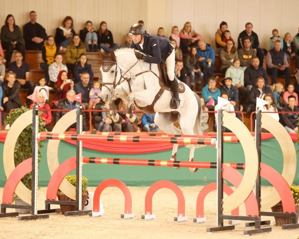 jumper Kosmos 73 (Hanoverian, 2015, from Kannan)