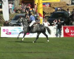 jumper Lidalgo (Holsteiner, 2003, from Littlefield)