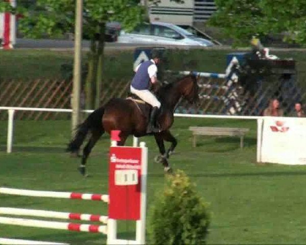 jumper Athena (Oldenburg, 2002, from Levantos I) jumper Athena (Oldenburg, 2002, from Levantos I)