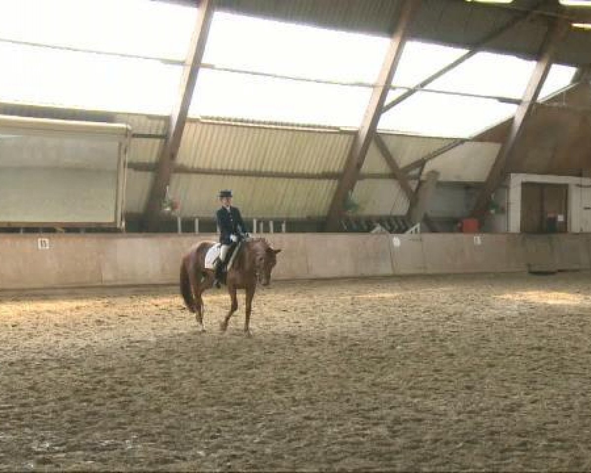 dressage horse Silva in Lumine (Westphalian, 2000, from Florestan I)