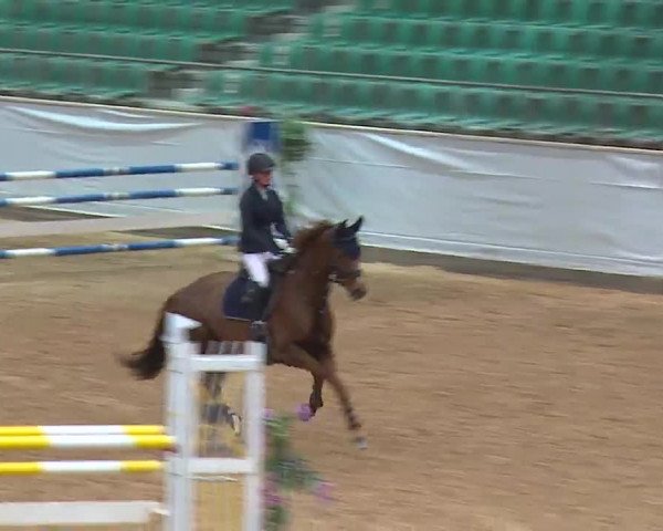 Reitturnier Kreuth/Opf. 2022