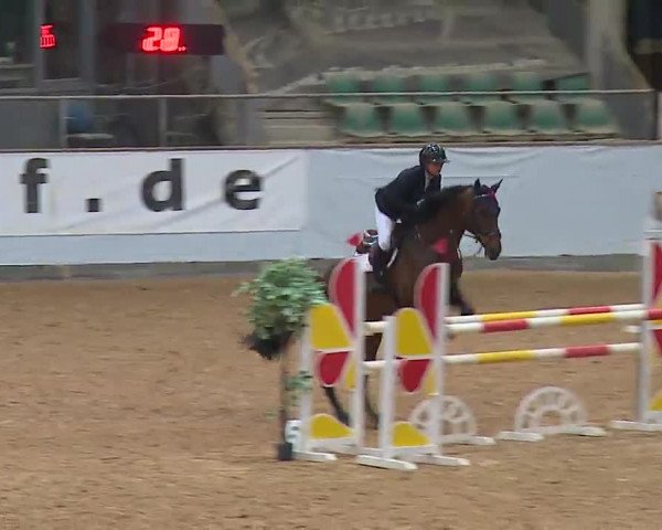 Reitturnier Kreuth/Opf. 2022
