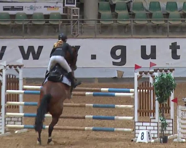 Reitturnier Kreuth/Opf. 2022