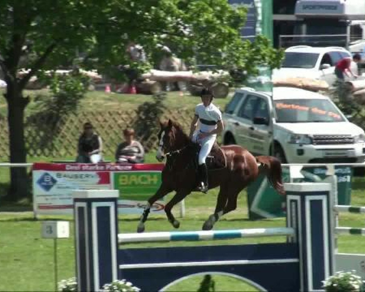 broodmare For Crazy Pleas (Hanoverian, 2005, from For Pleasure)