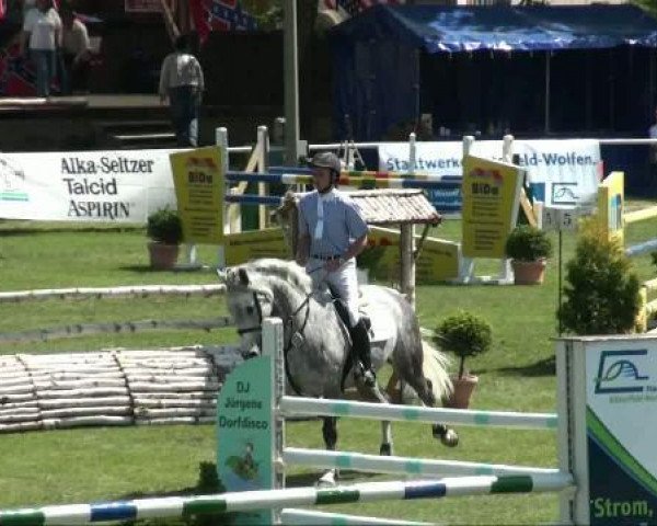jumper Luna 1175 (German Sport Horse, 2003, from Levisto Z)