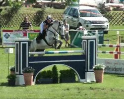 Springpferd Canero 6 (Westfale, 2004, von Cornet Obolensky)