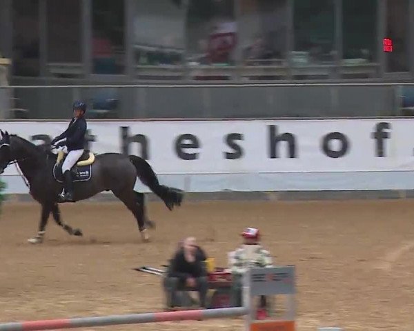 Reitturnier Kreuth/Opf. 2022