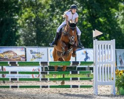 jumper Cartana C CH (+) (Swiss Warmblood, 2008, from Comet A.S. FL.)