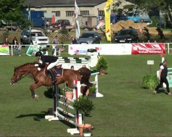 horse Gia la Fleur 2 (German Warmblood, 2006, from Regent)