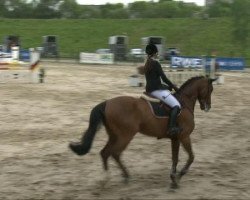 jumper Weltano 30 (Bavarian, 2000, from Weltrang L)