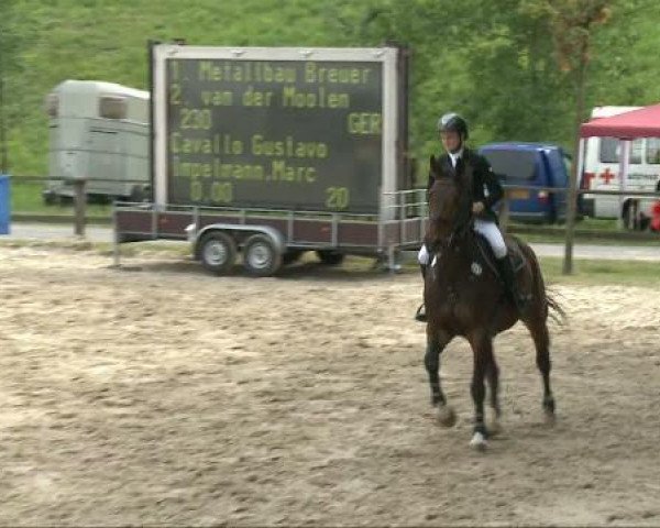 jumper Cavallo Gustavo (Rhinelander, 1999, from Cordino)