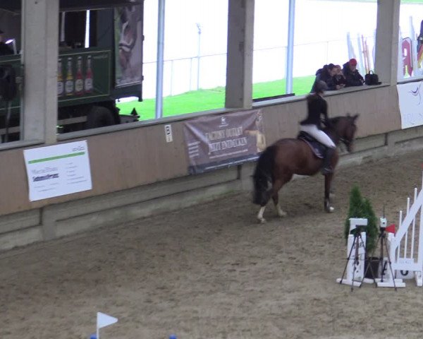 Reitturnier Oelde 2022
