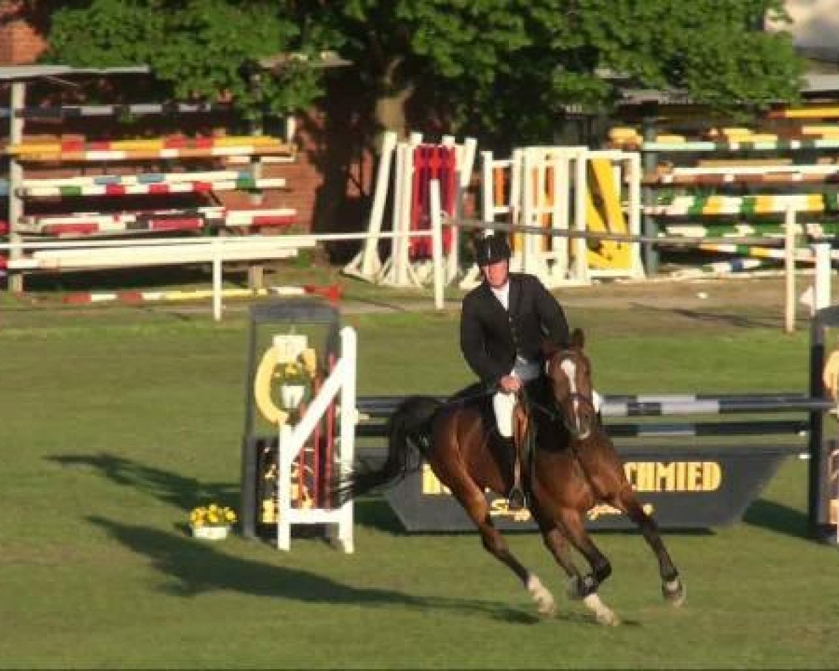 Springpferd Casanova (Deutsches Sportpferd, 2004, von Coolman)