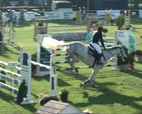 jumper Catania 94 (Holsteiner, 2004, from Calato)