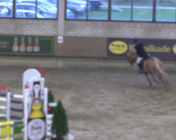 Reitturnier Oelde 2022