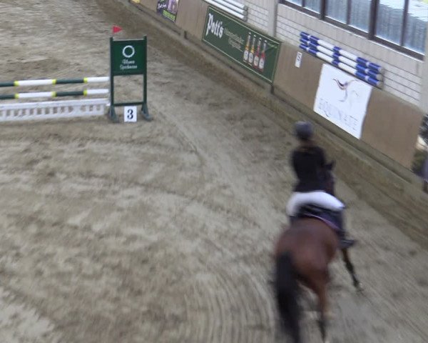 Reitturnier Oelde 2022
