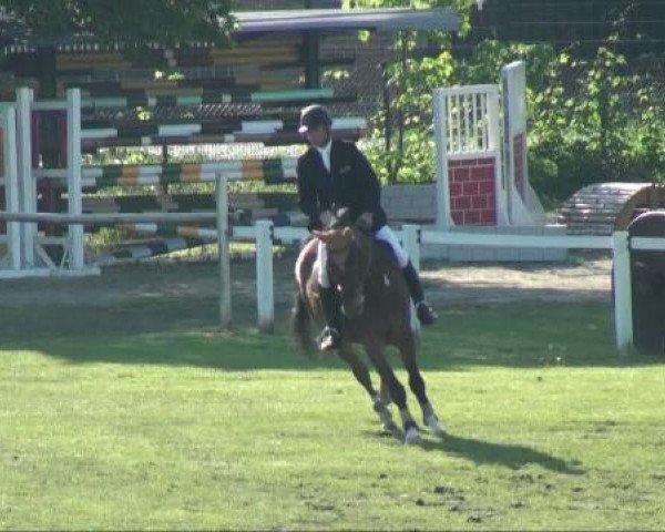 jumper Letz fetz 2 (German Sport Horse, 2005, from Liberty Son)