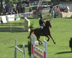 jumper Kopilot 3 (German Sport Horse, 2005)