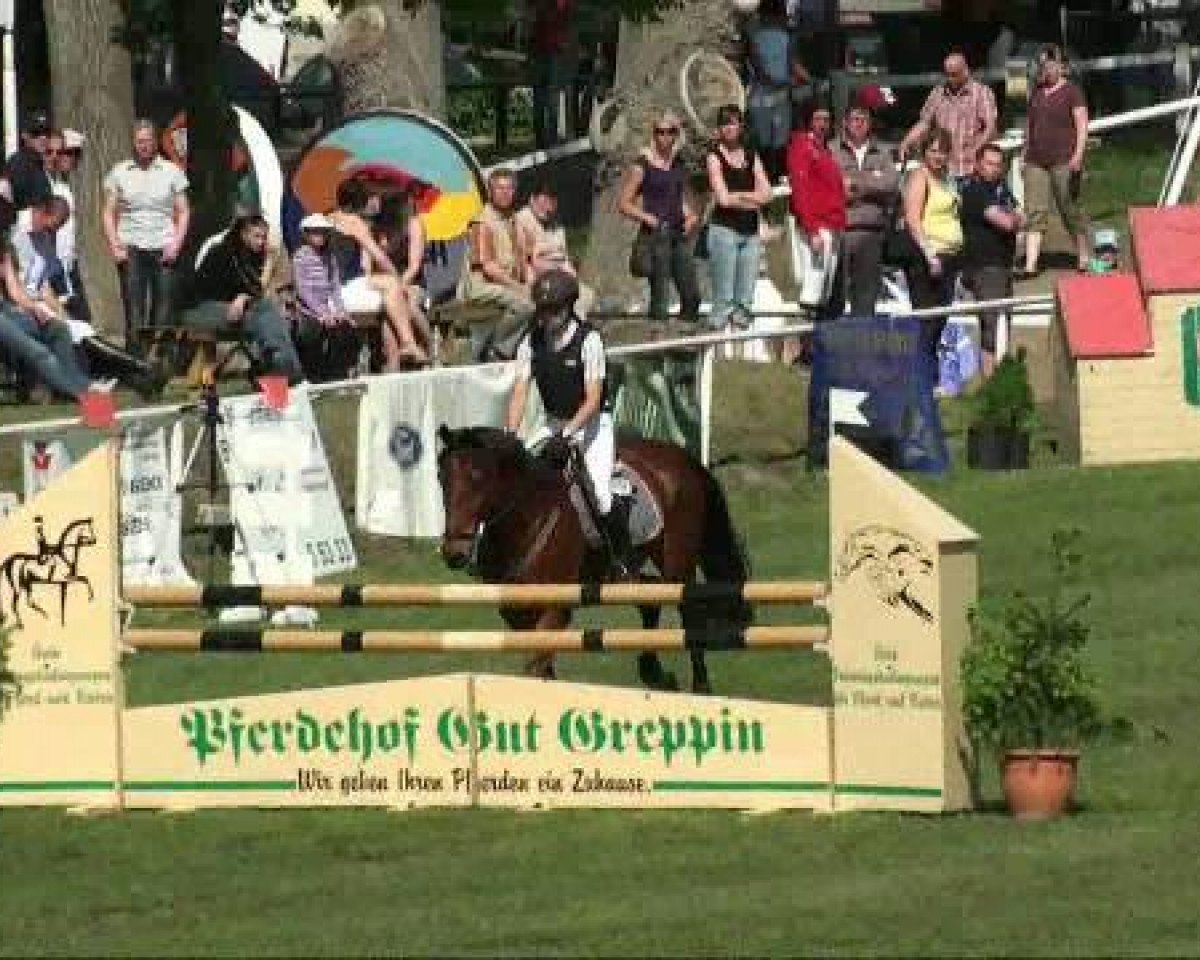 jumper Lumumba 16 (Brandenburg, 2002, from Landrebell)