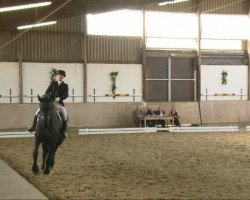 dressage horse Lugia (unknown, 2001)