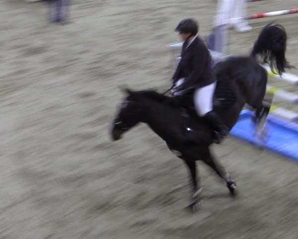 Reitturnier Oelde 2022