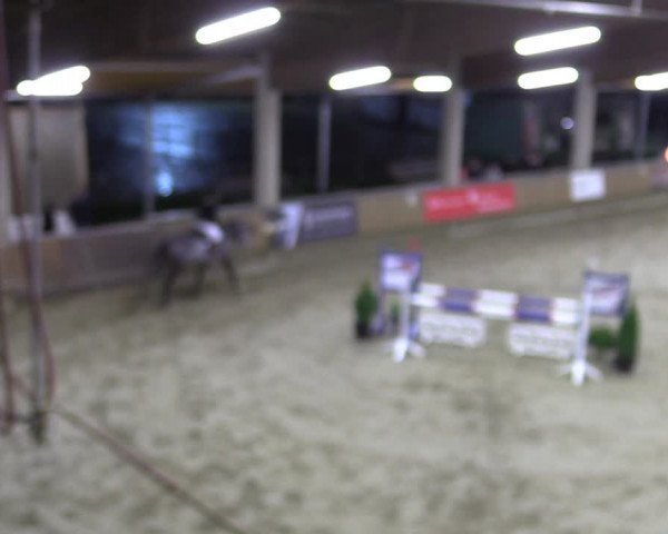 Reitturnier Oelde 2022