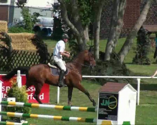 jumper Lavarius 3 (Sachse, 2001, from Lavall I)