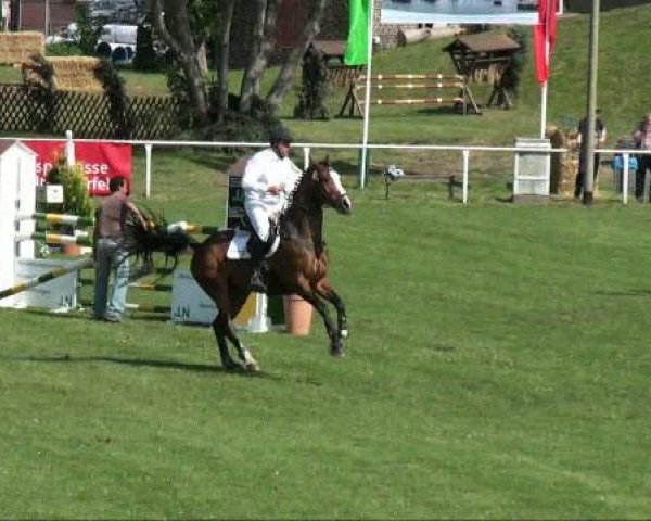 jumper Leandro 140 (Oldenburg, 2003, from Lavall I)