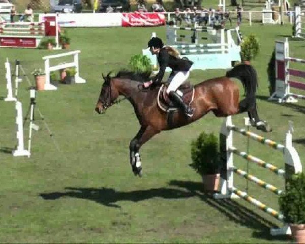 broodmare Lavina Love (Sachse, 2000, from Lavall I)