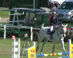 jumper Andiamo 235 (German Sport Horse, 2003, from Al Cantino)