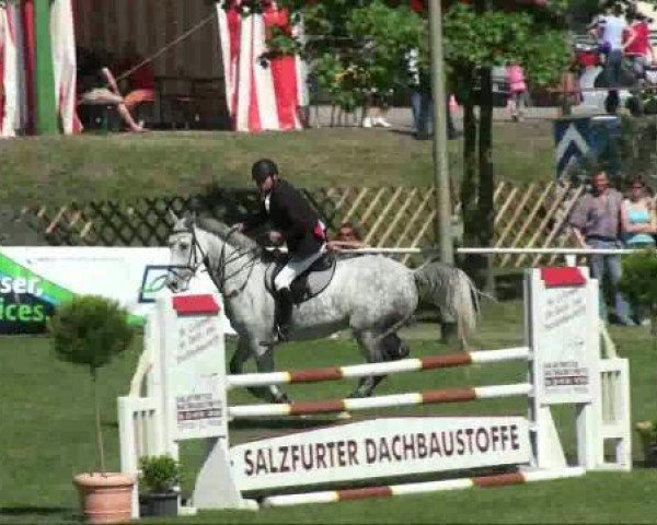 jumper Charmeur 350 (Holsteiner, 2002, from Lasino)