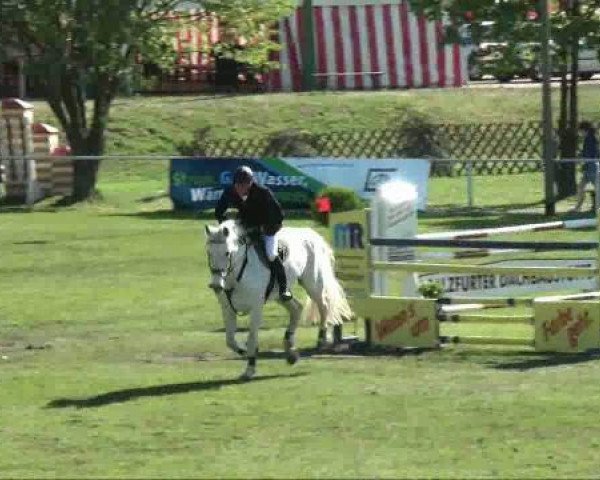 broodmare Amona (Hanoverian, 1998, from Athletico)
