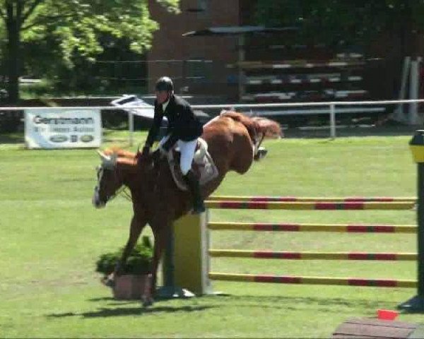 jumper Willi Wills Wissen (Hanoverian, 2002, from Welser)