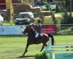 broodmare Crazy for carnute (Hanoverian, 2001, from Carnute)