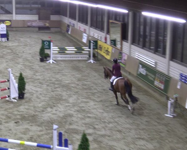Reitturnier Oelde 2022