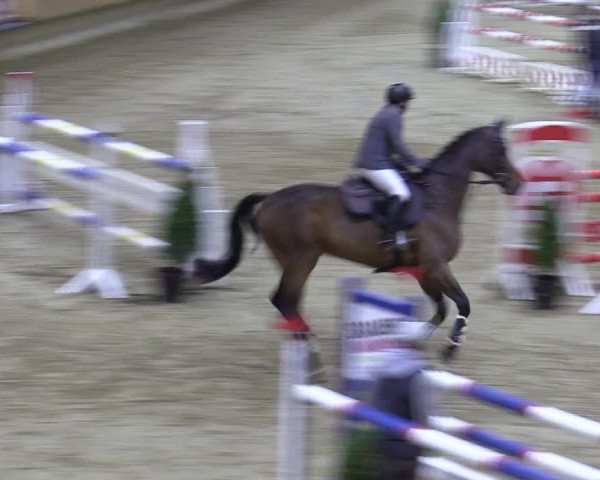 Reitturnier Oelde 2022