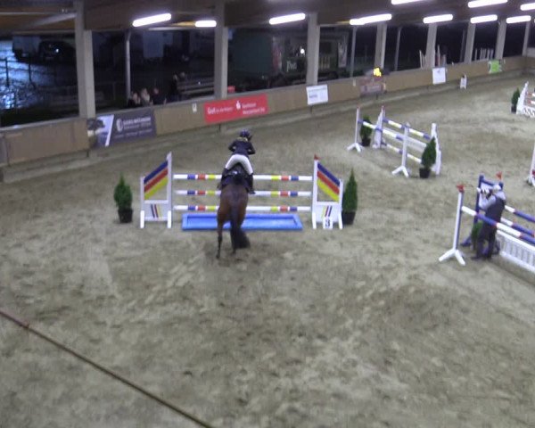 Reitturnier Oelde 2022