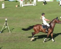 horse Frisbee 50 (Westphalian, 2003, from Floresco NRW)
