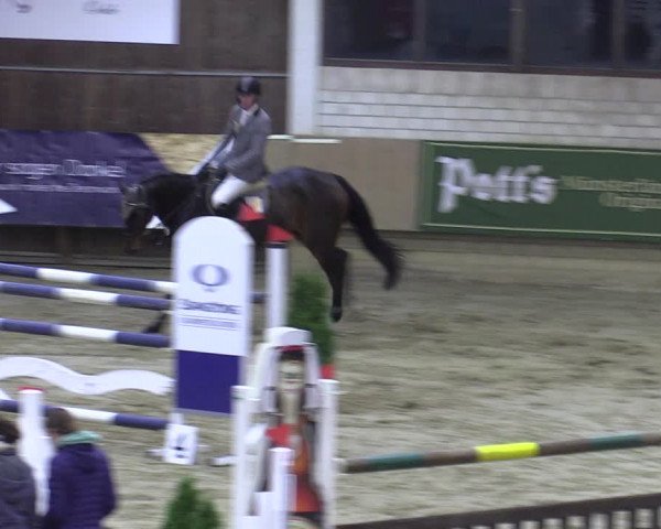 Reitturnier Oelde 2022