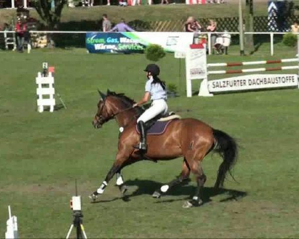broodmare Con Calidad (Oldenburg, 2003, from Con Capitol)