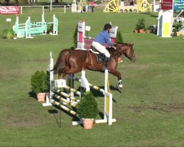 broodmare Atlantis (Saxony-Anhaltiner, 2002, from Grannox)