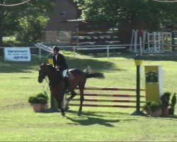 jumper Elan 262 (Hanoverian, 2004, from El Bundy)