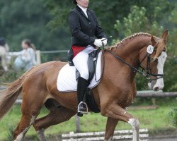 dressage horse Delos 35 (Westphalian, 1998, from Del Mar L)